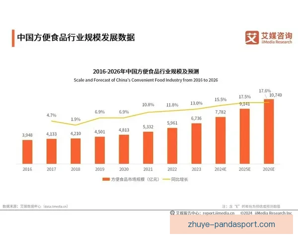 普鲁士多特蒙德股份有限公司发展战略与市场前景分析